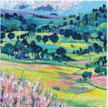 Galison puzzle Nature peinte 500 pièces