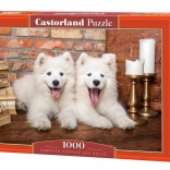 Puzzle 1000 pièces Samoyed Puppies disent bonjour