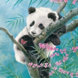 Puzzle 500 pièces Bamboo Dreams panda