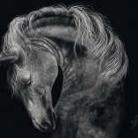 Puzzle Puissance du cheval 1000 pièces