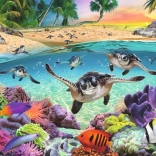 Puzzle Tortues juvéniles 500 pièces XXL