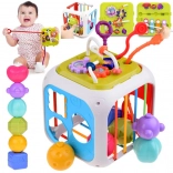 Cube éducatif actif avec trieur de formes et métallophone