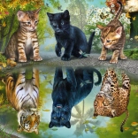 Casse-tête Rêver en grand 1000 pièces