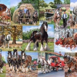 Puzzle 1000 pièces Tahouni de House of Puzzles