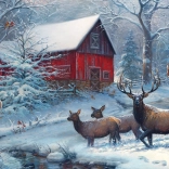 Puzzle COBBLE HILL Magie d’hiver 1000 pièces