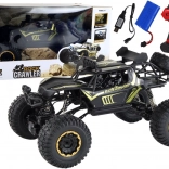 Grande voiture RC tout-terrain 1:8, 2.4G, noire