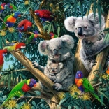 Puzzle Koalas dans l’Arbre 500 Pièces