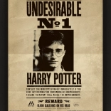 Tableau 3D Harry Potter - Sirius