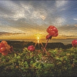 Puzzle Heye Mûres Chicouté 1000 pièces