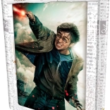 Puzzle 3D HARRY POTTER – Harry, 300 pièces