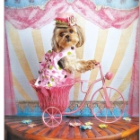 Puzzle Rêveur Voyageur 500 pièces