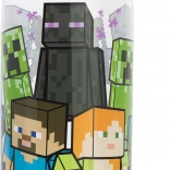 bouteille d’eau en plastique MINECRAFT 650 ml