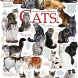 Puzzle Citations de Chats 1000 pièces COBBLE HILL
