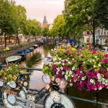 Puzzle Ravensburger Fleurs d’Amsterdam 1000 pièces