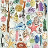 Gibsons Puzzle Curiosités de la nature 1000 pièces