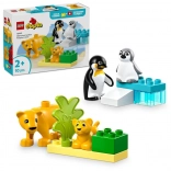 LEGO DUPLO Familles d’animaux sauvages : manchots et lions