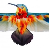 Cerf-volant Colibri