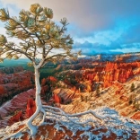 Puzzle EUROGRAPHICS Aube hivernale, Bryce Canyon (1000 pièces)