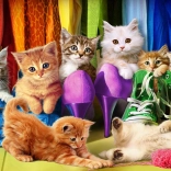 Puzzle EUROGRAPHICS Fierté féline 1000 pièces