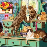 Puzzle ANATOLIAN coiffeuse pour chats 260 pièces