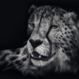 Puzzle Vitesse du guépard 1000 pièces SCHMIDT