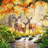 Puzzle 1000 pièces CASTORLAND Royal Family – biches et cerfs dans la forêt