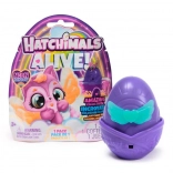 Hatchimals Arc-en-ciel Néon