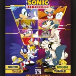 Tableau 3D Sonic : Choisis ton combattant