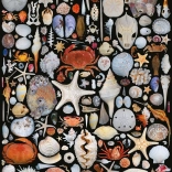 Puzzle Depuis la plage 1000 pièces PIATNIK