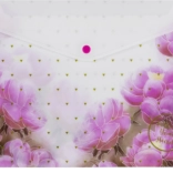 Pochette à bouton-pression A4 avec imprimé – motifs assortis, lot de 12 pièces