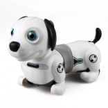 Chien robot interactif Dackel avec lumières et balle intelligente