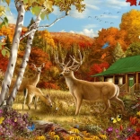 Puzzle ENJOY Quelque part dans les champs 1000 pièces