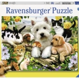 Puzzle Ravensburger Happy Animal Buddies 300 pièces