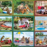 Puzzle Écureuils en vacances 1000 pièces COBBLE HILL