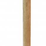 Crayon en bois avec petit lion à crinière duveteuse