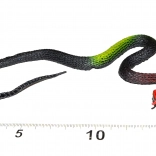 Serpent en caoutchouc décoration d’Halloween