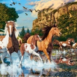Puzzle 1000 pièces Chevaux