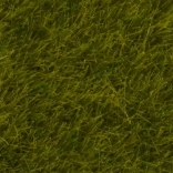 Herbe statique Prairie sauvage 6 mm