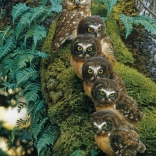 Puzzle Arbre généalogique 1000 pièces