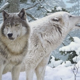 Puzzle Souffle de l'hiver 500 pièces Cobble Hill