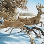 COBBLE HILL puzzle Évasion – 1000 pièces